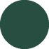 Plasticized green icon