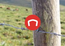 G29 applications: Agricultural › Perforated posts