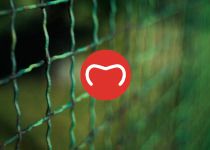 A18 applications: Fencing › Fences and enclosures