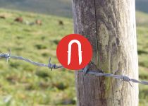 Aplicaciones GRAMPILL&Oacute;N: Agropecuario › Postes madera