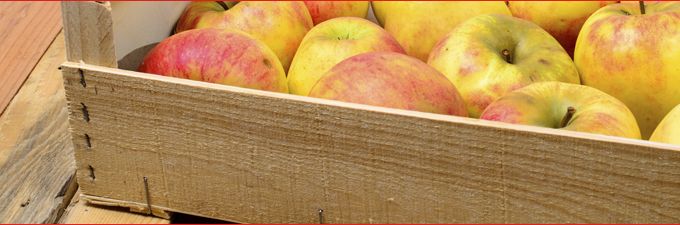 Application simW5562 Application simW5562